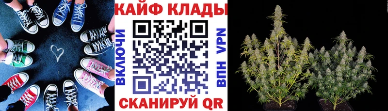 Все наркотики Лосино-Петровский Бошки Шишки  Мефедрон  MDMA  omg сайт  A-PVP  ГАШИШ  КЕТАМИН 