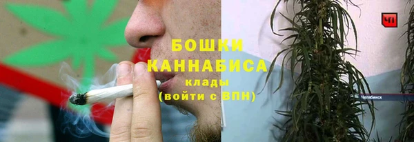 хмурый Михайловск