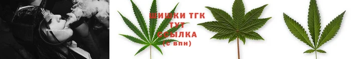 хмурый Михайловск