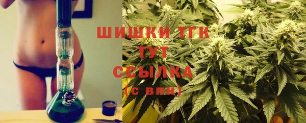 молекула духа Михайловка