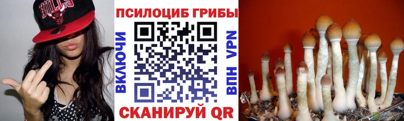 Псилоцибиновые грибы ЛСД  цена наркотик  Лосино-Петровский 