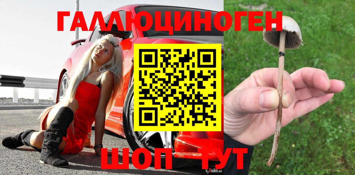 Галлюциногенные грибы ЛСД Лосино-Петровский